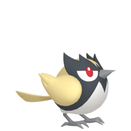 #821 Rookidee